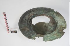 Foto von Bronzebreitrandfußschale (NHMW-PRAE-024138)